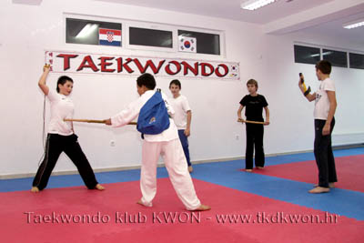taekwondo kwon training